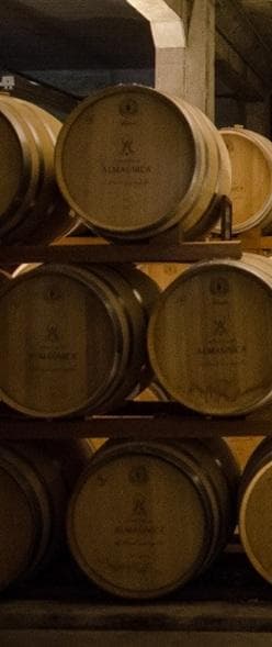 Vale dos Vinhedos